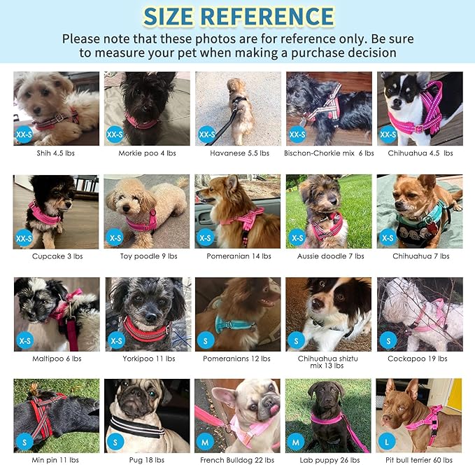 SlowTon No Pull Small Dog Harness and Leash Set, Puppy Soft Vest Harness Neck & Chest Adjustable, Reflective Lightweight Harness & Anti-Twist Pet Lead Combo for Small Medium Dogs (R-Front Clip,XXS)