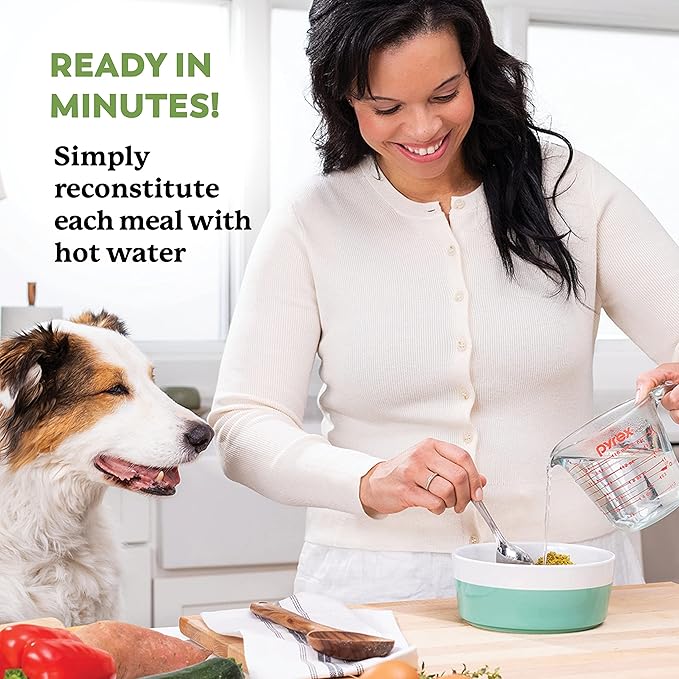 Dr. Harvey's Beef & Garden Veggies Dog Food, Human Grade Grain-Free Dehydrated Food for Dogs with Freeze-Dried Beef (5 Pounds)