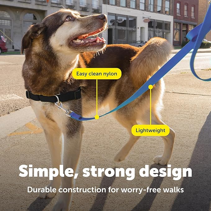 PetSafe Nylon Leash - Chew-Resistant Cat & Dog Behavioral Training Leash - Compatible with Easy-Walk Harness - Traditional-Style Reliable Pet Lead with a Padded Hand Wrap - 1" x 4' - Royal Blue