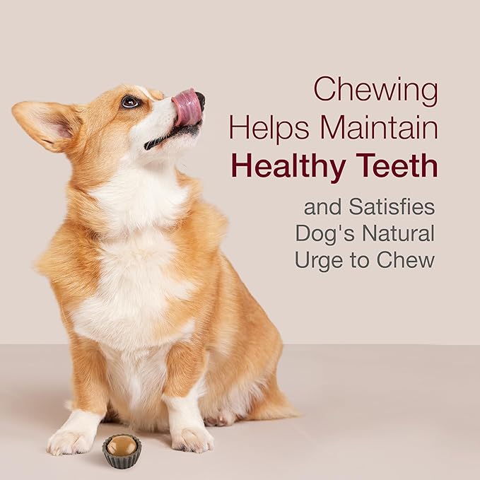 SmartBones Cups with Peanut Butter, Treat Your Dog to a Delicious Rawhide-Free Chew, 5 Count (Pack of 2)