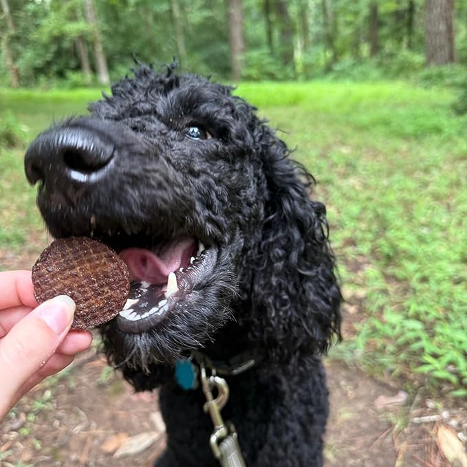 Farm To Pet - Dog Training Treats - 12 oz Beef Chips, Single Ingredient, Lean, All Natural, Healthy Dog Treats for Small, Medium, Large Breeds, & Puppies, Made in USA
