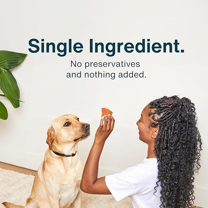 JustFoodForDogs Single Ingredient Healthy Dog Treats and Dog Snacks, Jerky Treats, Human Grade, Preservative and Grain Free, Rawhide Free Chews, Low Calorie Treat - Chicken Breast, 18 oz
