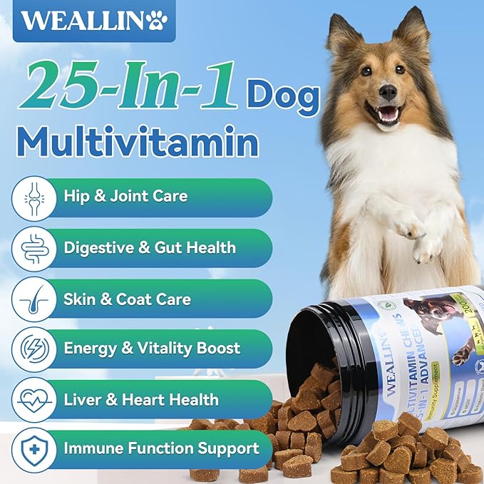 Dog Vitamins - 25-in-1 Dog Vitamins and Supplements Multivitamin with Glucosamine Probiotics Omega-3 Puppy Multivitamin Chewable for Coat, Heart, Hips & Joints, Digestion & Immune System 200pcs
