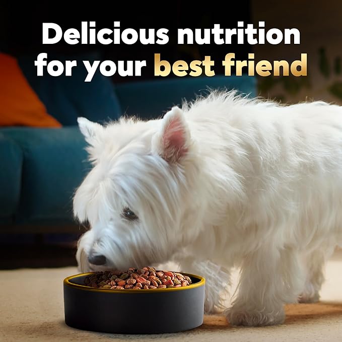 Cesar Small Breed Dry Dog Food for Small Dogs,Rotisserie Chicken Flavor and Spring Vegetables Garnish,12 lb Bag,(Pack of 2)