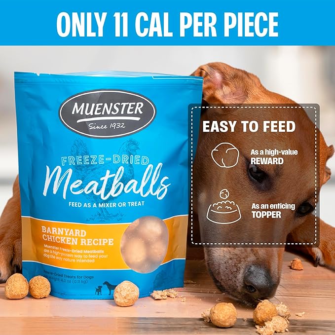 Muenster Freeze Dried Chicken Meatball Dog Treats (4oz) - Grain Free, Made in USA