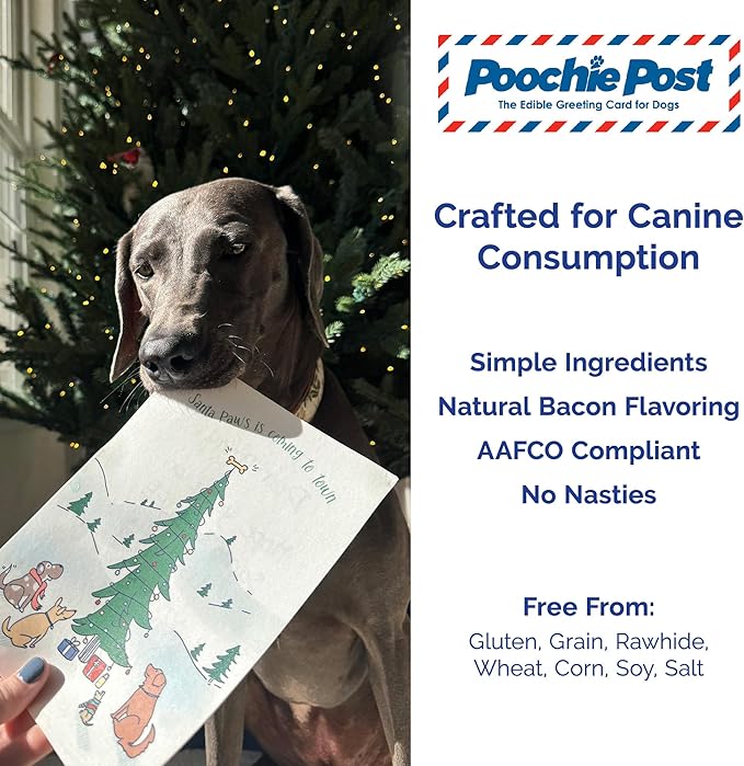 Poochie Post Holiday Edible Greeting Card for Dogs, Bacon-Flavored Christmas Dog Treat Gift with Edible Ink Pen, "Santa Paws Is Coming to Town" Design, Gluten & Grain Free, Made in USA
