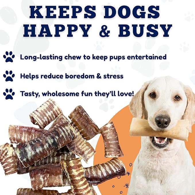 Amazing Dog Treats - Beef Trachea Rings (3-4 Inch, 12 Count) -Premium Dog Chews- Great for Small Size Dogs - Excellent Source of Glucosamine and Chondroitin- Great for All Breeds