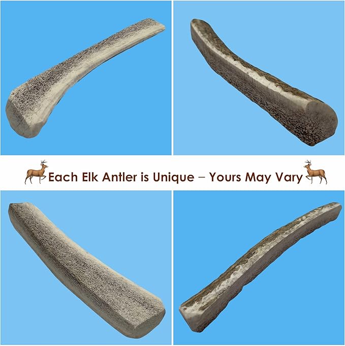 1-Pack Small Split Elk Antler Dog Chew (5 to 6.5+ in) – All Natural, Premium Grade A, Odor-Free, USA-Sourced – Long-Lasting Dental Treats for Toy and Small Dogs Under 15 lbs
