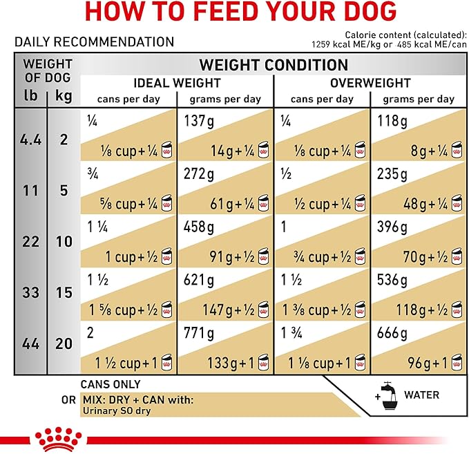 Royal Canin Veterinary Diet Canine Urinary SO Moderate Calorie Adult Thin Slices in Gravy Dog Food, 12.5 oz (Pack of 12)