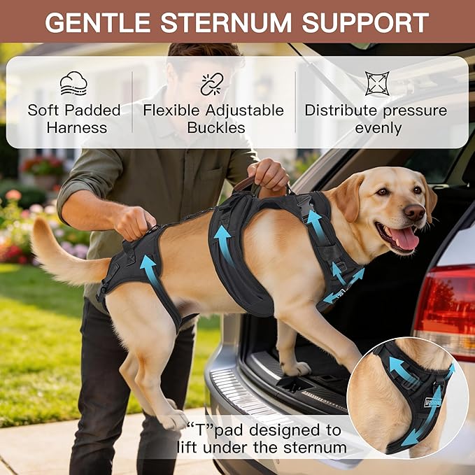 Dog Lift Harness, Full Body Dog Harness with Handle for Lifting, Front/Back Leg Support, Prevent Chafing Pee-Able Design, 2-in-1 Detachable Dog Assist Harness for Senior Disabled Dogs Up to 40lb (M)