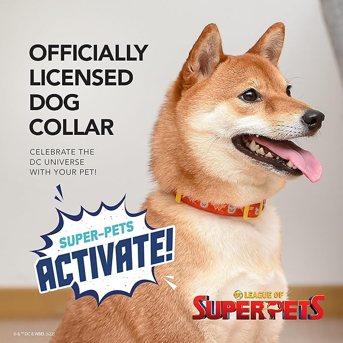 DC Comics League of Super-Pets PB Wonder Woman Dog Collar, Small | Officially Licensed DC League of Super-Pets PB Dog Collar | Small Dog Collar DC Wonder Woman Style with D-Ring for Leash