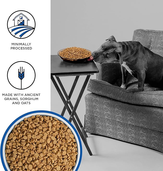 BIXBI Liberty Ancient Grains Dry Dog Food, Game Bird Feast Recipe – Fresh Meat, High Protein, Wholesome Grains – USA Made, 4 lbs
