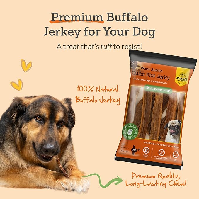 Advance Pet Products Premium Buffalo Gullet Flat Jerky Dog Treats (6" Long, 30 Count/Pack) - Natural Chews for Large, Medium & Small Breed Dogs, Healthy Treats, Odor-Free, Easily Digestible - 1lb