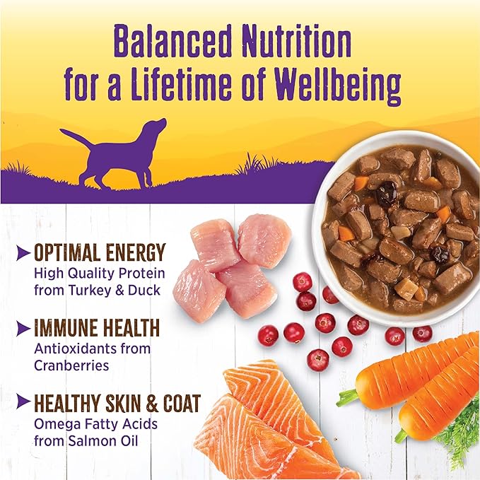 Wellness Complete Health Grain Free Canned Wet Dog Food, Turkey & Duck Stew, 12.5-Ounce Can (Pack of 12)