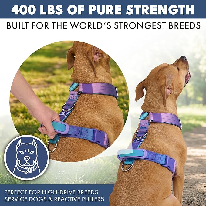 Spark Paws No Pull Dog Harness with Handle for Large Dogs, Heavy Duty Dog Harness for Big Strong Breeds, Adjustable, Y Shaped Padded Halter Design with Front Clip - 90s Retro - L