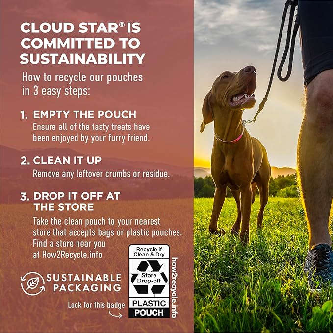 Cloud Star Dynamo Dog Tummy Soft Chews Grain Free Dog Treats, Pumpkin & Ginger, 14 oz. Pouch