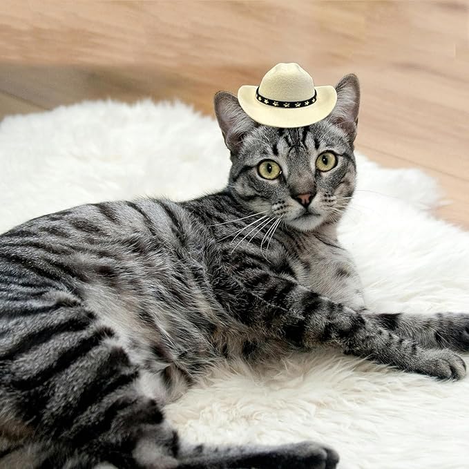 Dog Cowboy Hat Cat Cowboy Hat Pet Cowboy Costume Mini Cowboy Hat for Dogs Cat Holiday Halloween Pet Party Decoration (Beige, Small)