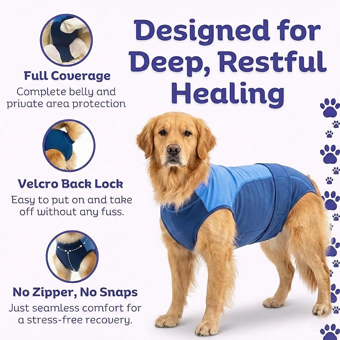 Surgi Snuggly Dog Surgery Recovery Suit - Dog Onesie for Post Surgery Recovery, Female Spay & Male Neuter - Surgical Suit for Dogs, E-Collar Cone Alternative, Double Blue - X-Large - 21" - 24" (EC)