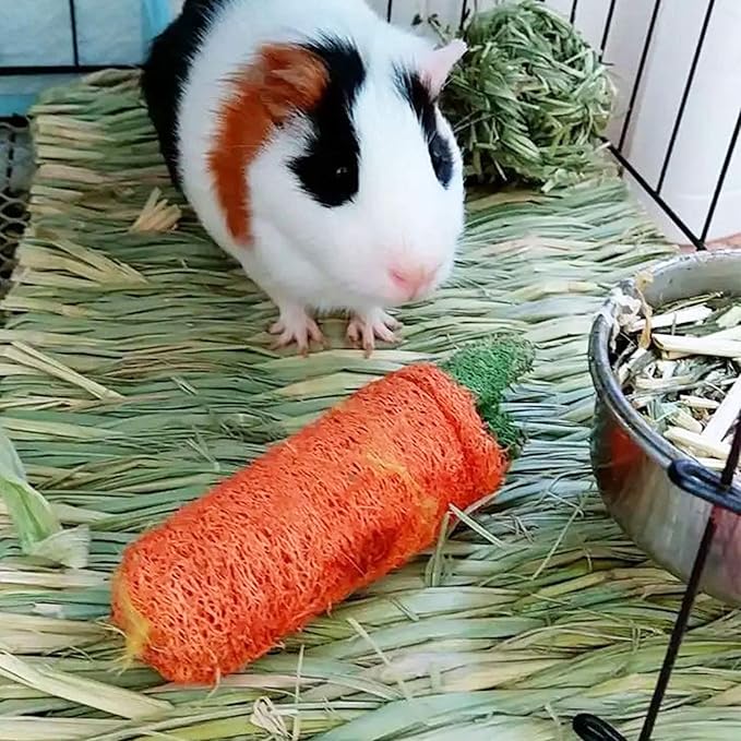 kathson 6 PCS Rabbit Large Grass Mat Natural Grass Woven Mat Rabbits Chew Toys Hay Bedding Nest for Small Animal Bunny Rabbit Guinea Pigs Hamster Chinchillas Puppy Biddy Sleeping Chewing