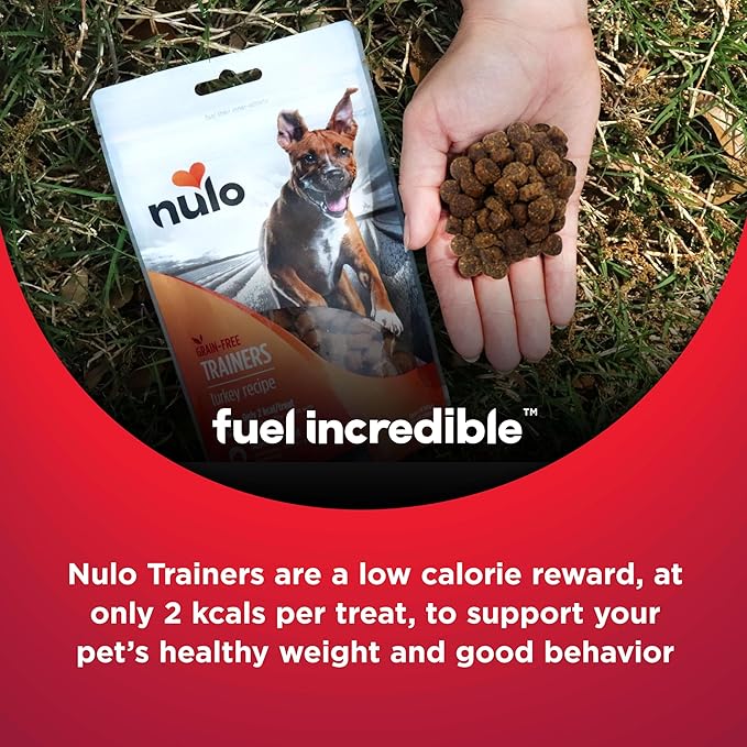 Nulo Trainers Salmon Recipe Grain-Free Low-Calorie Healthy Dog & Puppy Training Treats, 4 Ounce Pouch