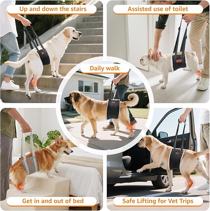 LOOBANI Portable Dog Sling for Back Legs, Hip Support Harness to Help Lift Rear for Canine Aid Old K9 Cruciate Ligament Rehabilitation