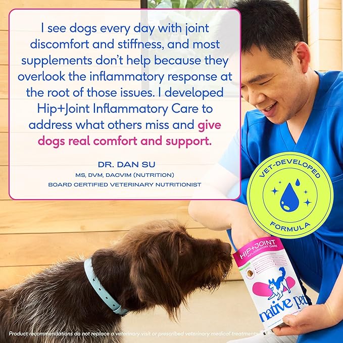 Native Pet Inflammatory Care - Pain Relief for Dogs - Green-Lipped Mussel, Turmeric & Collagen for Dogs - Hip and Joint Supplement Supports Healthy Inflammatory Response & Joint Comfort - 30 Chews