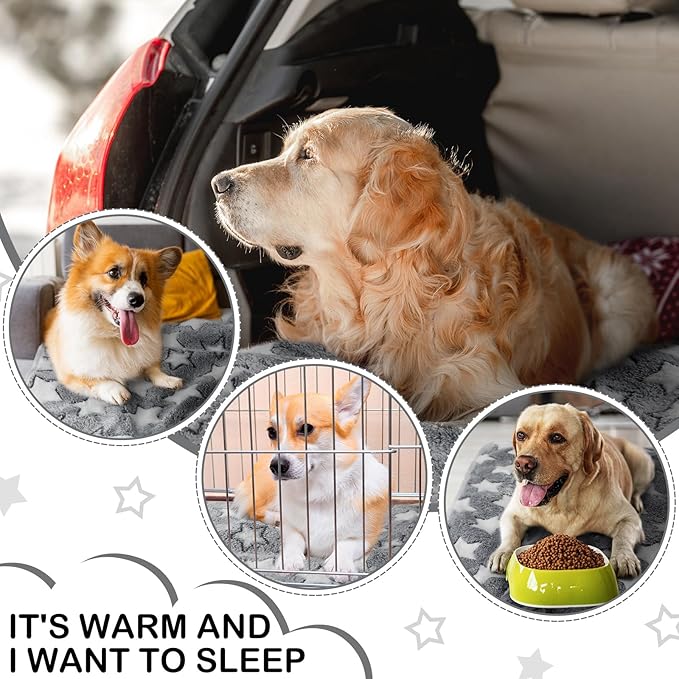 Tudomro 8 Pcs Guinea Pig Blankets Washable Small Pet Fleece Bedding Cage Liners Double Sided Pet Reusable Sleep Mat Pad Cover for Ferret Chinchilla Furniture Protection(Grey Star,16 x 24 Inch)