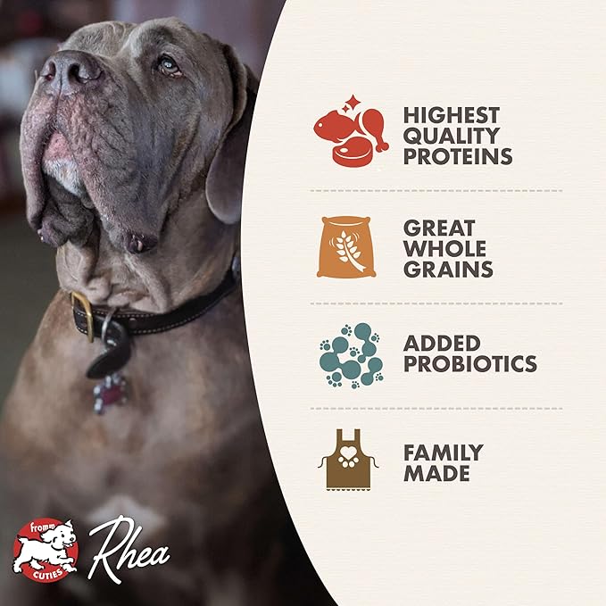Fromm Classic Adult Large & Giant Breed Dog Food - Premium Dry Dog Food for Large & Giant Breeds - Chicken Recipe - 30 lb
