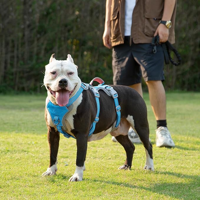 Huntboo Escape Proof Dog Harness, Escape Artist Harness, Reflective Harness with Padded Handle, Breathable, Durable, Adjustable Vest for Medium Dogs Walking, Training, and Running Gear (Blue, XL)