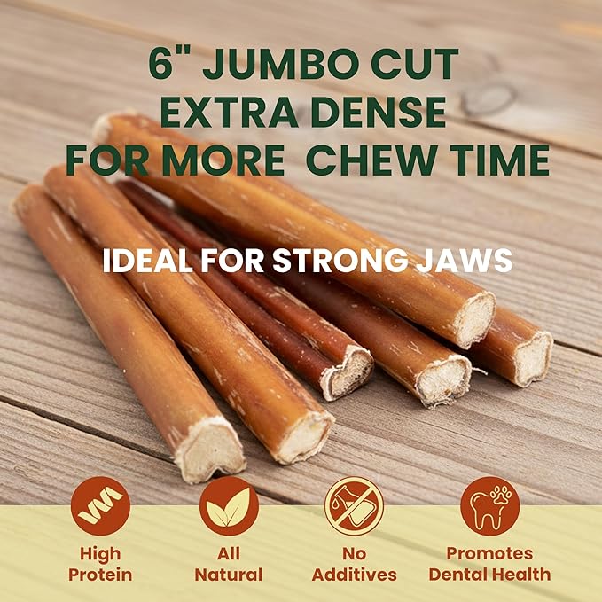 12 Pack 6 Inch Extra Thick Bully Sticks for Aggressive Chewers – 100% Beef Pizzle, Single Ingredient Rawhide-Free Dental Chews, Long Lasting Natural Dog Treats for Large Dogs