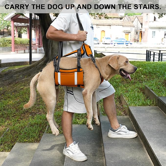COODEO Mobility Dog Lift Harness, Emergency Carry Sling, Pet Rear Leg Support Rehabilitation Lifts Vest, Dog Carrier for Senior Dogs Joint Injuries, Arthritis (Orange, M)