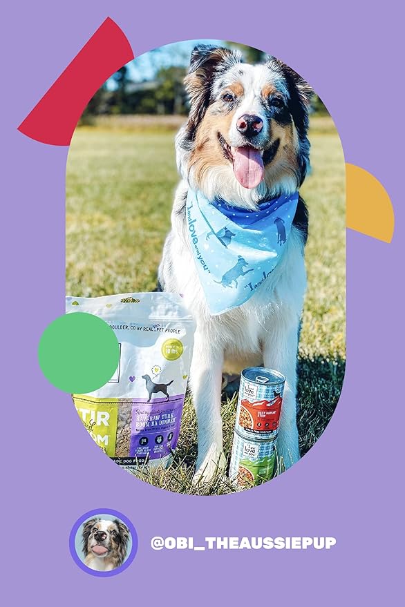 I AND LOVE AND YOU Wet Dog Food - Lambarama Stew - Lamb Recipe, Grain Free, Filler Free 13 Ounce (Pack of 1)