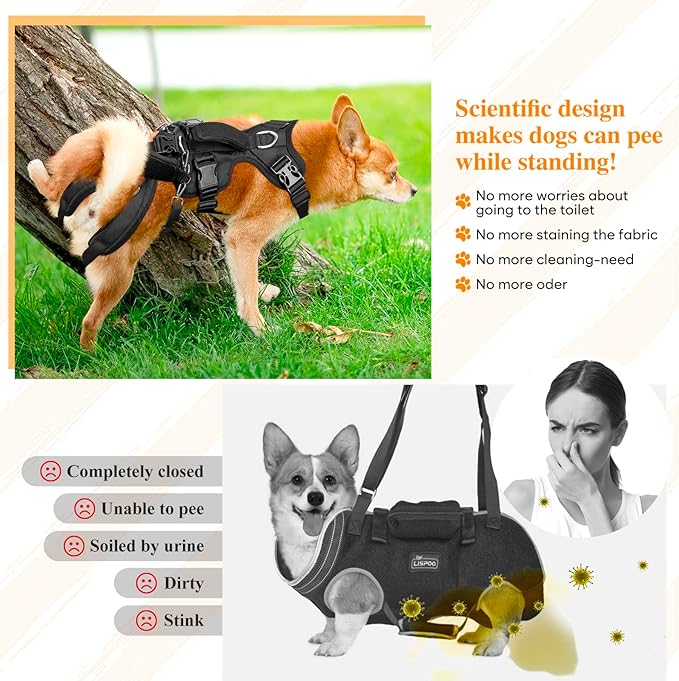 Dog Lift Harness, Dog Support & Recovery Sling for Full-Body & Hind/Front Leg – Pee-Able Design for Large/Medium Dogs – All-in-One Ideal Assistance for Senior, Disabled, Arthritic & ACL Canines (XL)