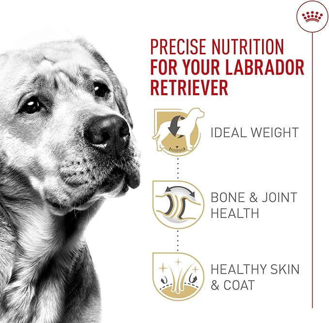 Royal Canin Breed Health Nutrition Labrador Retriever Adult Dry Dog Food, 5 lb Bag