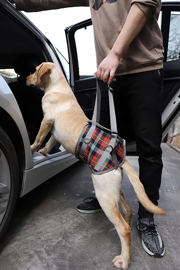 ROZKITCH Dog Lift Harness, Grid Pet Rear Support Aid Veterinarian Approved Sling for Old K9 Help With Poor Stability, Back Leg Hip Disabled Joint Injury Elderly Arthritis ACL Rehabilitation Rehab