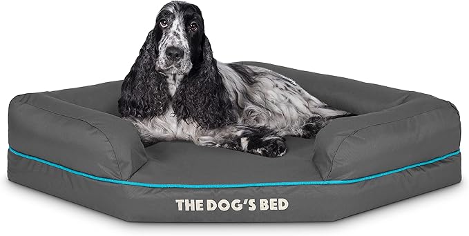 The Dog’s Bed Orthopedic Memory Foam Corner Dog Bed, Calming Surface – CertiPUR-Certified Foam, Oxford Fabric, Grey with Blue Trim, Medium