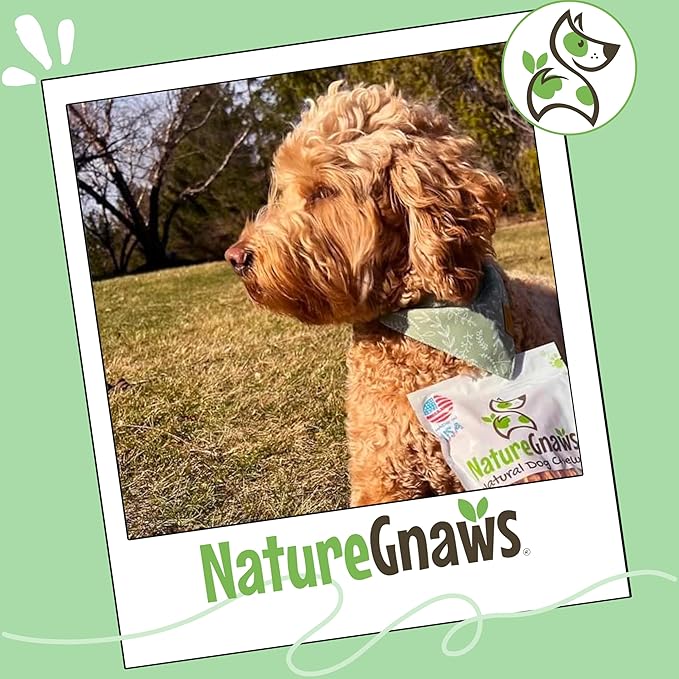 Nature Gnaws USA Beef Tendons for Dogs (8oz) - Mixed Thickness - Long Lasting for Aggressive Chewers - Premium Natural Beef Dog Chew Treats - Rawhide Free