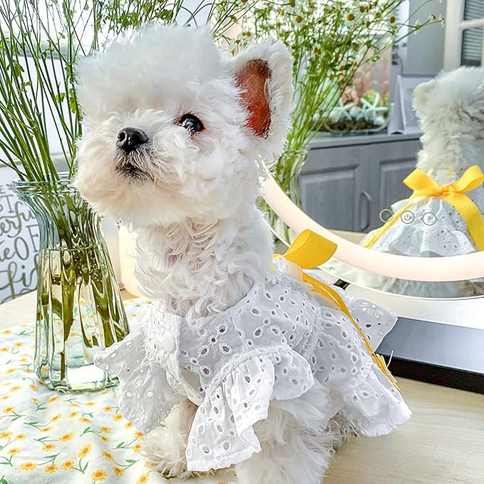 Dog Cute Princess Dress Summer Pet Clothes for Small Dogs Elegant Bowknot Puppy Sundress Holiday Breathable Lightweight Outfits Female Cat Dog Yorkie Chihuahua Dress Apparel
