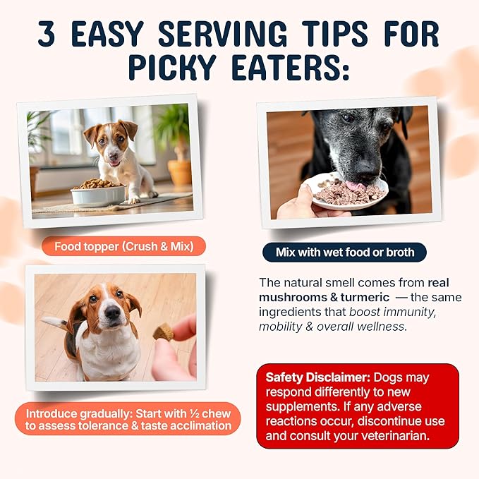 Pets are Kids Turkey Tail Mushroom for Dogs with Organic Real Turkey Tail™ - 8:1 Extract Mushroom Chews for Lumps & Bumps, Immunity, Gut, Skin, Joint & Spine Support - Reishi, Lion’s Mane - 120 Chews