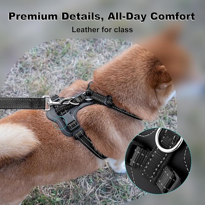 Plutus Pet Adjustable No Pull Dog Harness with Leather Accents, Heavy Duty Reflective Nylon Vest for Training, Hiking, Easy Walk Harness for Small, Medium, Large Dogs (Black, L)
