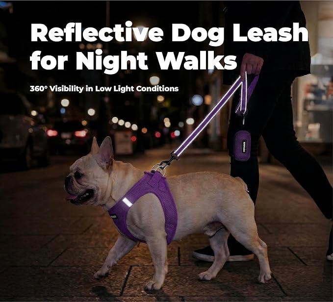 Best Pet Supplies Voyager Reflective Dog Leash or Collar with Neoprene Handle, for Small, Medium, and Large Breed Puppies, Cute and Heavy Duty for Walking, Running and Training - Purple (Leash), S