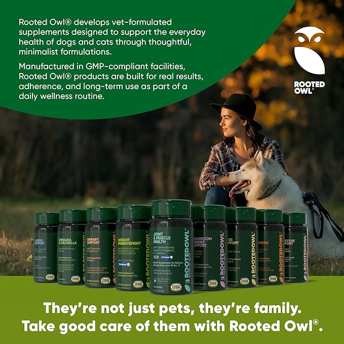 Rooted Owl Blood Support - Immunity, Recovery and Iron Supplement for Dogs & Cats - Anemia Support with Spirulina and Chlorella - 60/ct Vegan Capsules