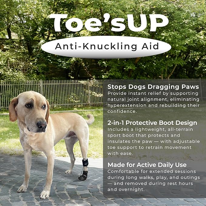 WALKABOUT™ Toe'sUP No Knuckling Boot Brace for Dogs Dragging Paws | Corrective Dog Shoes to Safely Lift Toes