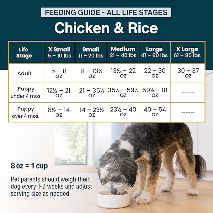 JustFoodForDogs Pantry Fresh Wet Dog Food, Complete Meal or Dog Food Topper, Chicken & White Rice Human Grade Dog Food Recipe - 12.5 oz (Pack of 12)
