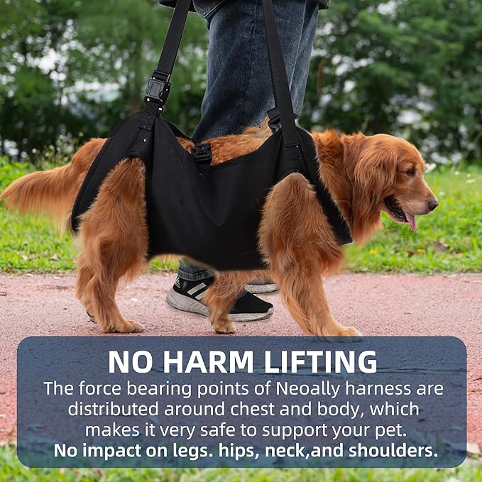 Dog Lift Harness, Emergency Backpack Pet Legs Support & Rehabilitation Sling Carrier, Adjustable Lifting Straps Carrier for Senior Elderly Dogs Joint Injuries Arthritis XL