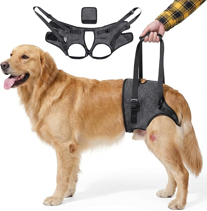 Dog Lift Harness for Back Legs–Sturdy Dog Support Sling–Hip Sling Carrier for Large Medium Canine, Stair Helper for Aid Old Ligament Rehabilitation Pet, Grey-XL