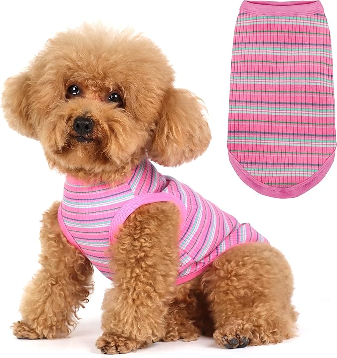 Elevate Your Pet's Comfort and Fashion: Premium 100% Cotton Rib Dog Shirt Vest for Small Breeds Like Chihuahuas, Yorkies, and Puppies .Year-Round Style with Tank-Style Puppy Attire Ginger X-Large