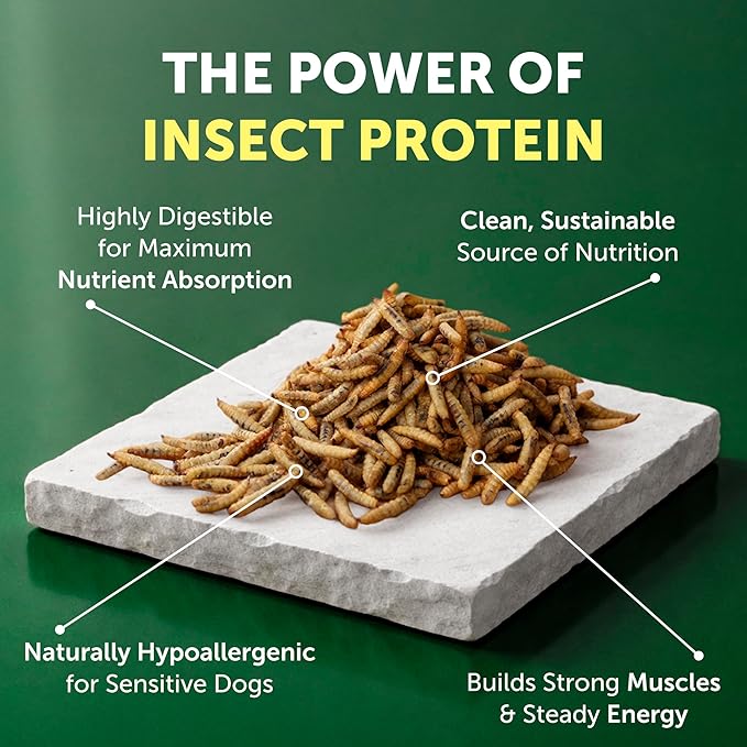 Nature's Protection Hypoallergenic Small Breed Dry Dog Food - High Protein, Grain Free Tear Stain Formula - Dog Kibble for Sensitive Stomachs for Adult Light Fur Dogs (Superior Care - Insect, 3.3 lb)