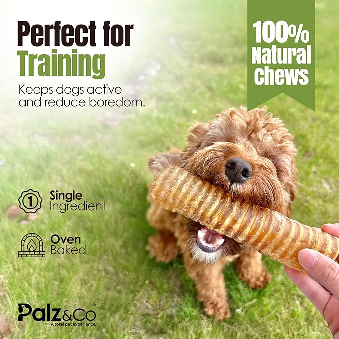 Palz&Co Moodog 6" Beef Trachea Tubes for Dogs - Natural Grass-Fed Chews with Glucosamine & Chondroitin, Supports Joints & Dental Health, 2-Pack