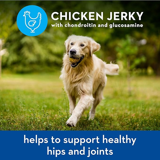 spot farms Chicken Jerky Healthy All Natural Dog Treats Human Grade for Hip and Joint 12 oz (Pack of 2)